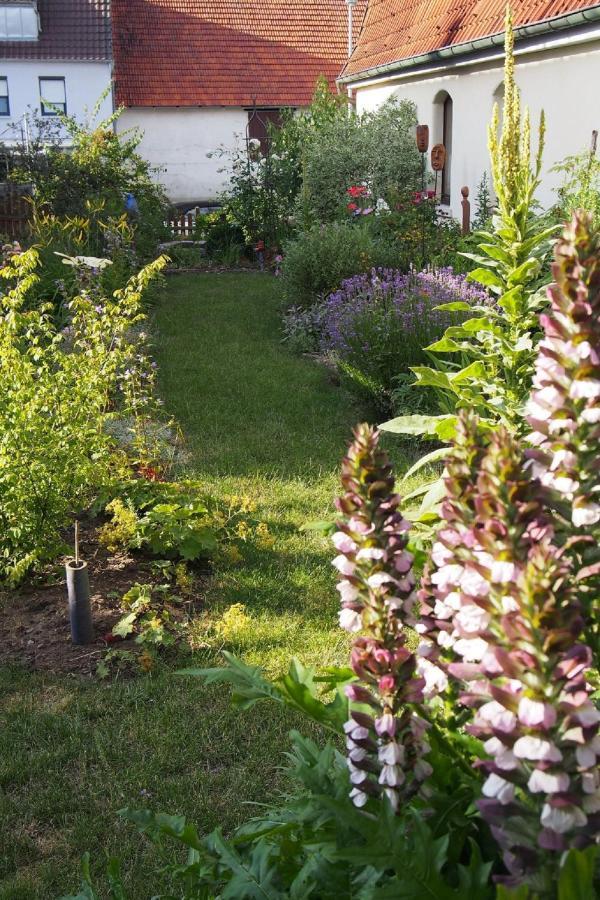 Ferienwohnung Seidenfaden Karlstadt Ngoại thất bức ảnh